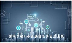 深入了解Pi币区块链及其生态系统