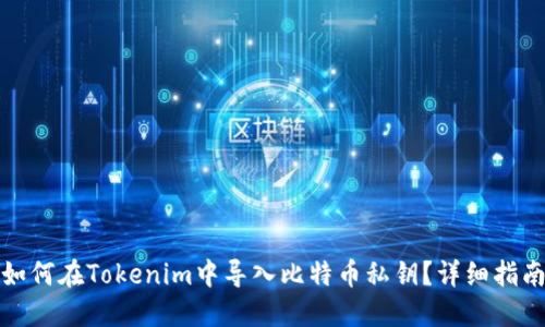 如何在Tokenim中导入比特币私钥？详细指南