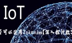 ### 中国是否可以使用Tokenim？深入探讨数字资产与