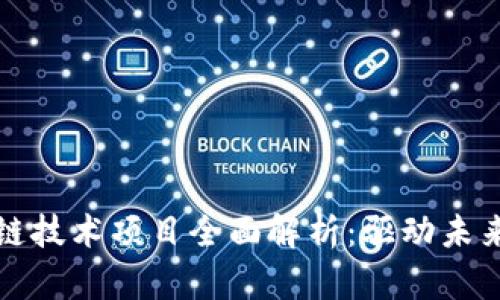 互联网区块链技术项目全面解析：驱动未来的数字经济