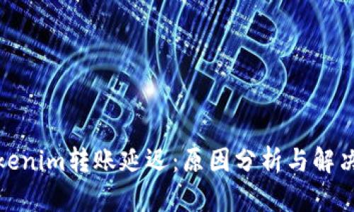 : Tokenim转账延迟：原因分析与解决方案