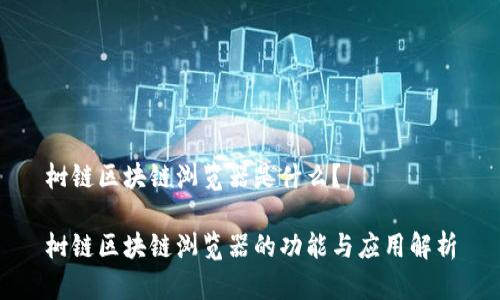 树链区块链浏览器是什么？

树链区块链浏览器的功能与应用解析