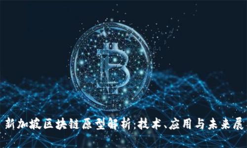 : 新加坡区块链原型解析：技术、应用与未来展望