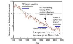 展示一下问题理解的结构### 区块链太阳线：未来