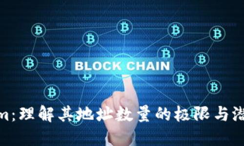 Tokenim：理解其地址数量的极限与潜在影响