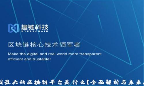 
中国最大的区块链平台是什么？全面解析与未来展望