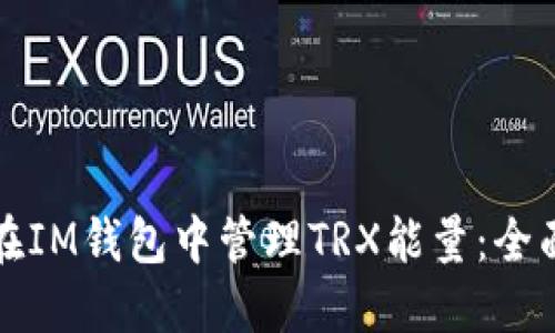 如何在IM钱包中管理TRX能量：全面指南