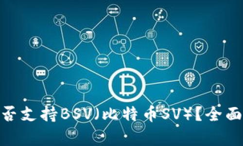 imToken钱包是否支持BSV（比特币SV）？全面解析与使用指南