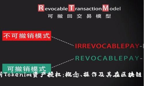 深入解析Tokenim资产授权：概念、操作及其在区块链中的应用