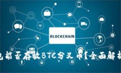 Tokenim钱包能否存放BTC分叉币？全面解析与使用指