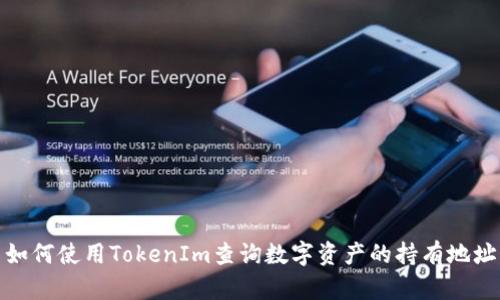 如何使用TokenIm查询数字资产的持有地址