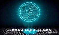 区块链分层多链技术的全面解析