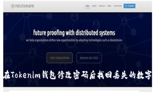 如何在Tokenim钱包修改密码后找回丢失的数字货币