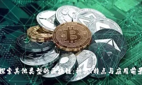 探索其他类型的区块链：种类、特点与应用前景