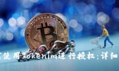 如何使用Tokenim进行授权：详细指南