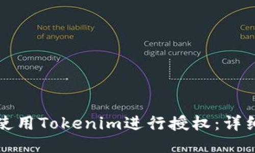 如何使用Tokenim进行授权：详细指南