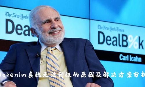 Tokenim系统无法升级的原因及解决方案分析