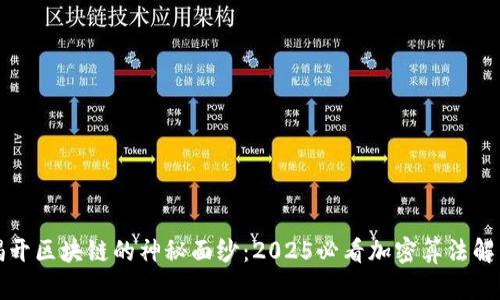 揭开区块链的神秘面纱：2025必看加密算法解析