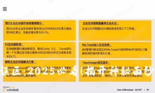 区块链的误区：2025必看！揭开神秘面纱，了解真相