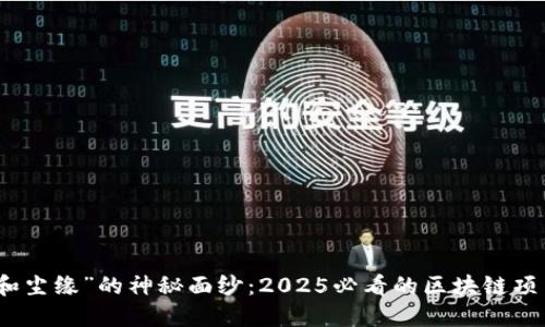 揭开“和尘缘”的神秘面纱：2025必看的区块链项目解读