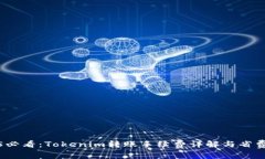 2025必看：Tokenim转账手续费详解与省费技巧