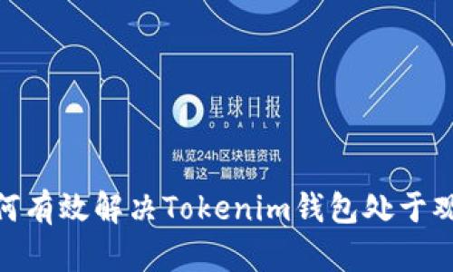 2025必看：如何有效解决Tokenim钱包处于观察状态的问题