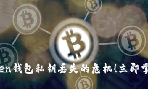 2025必看：如何处理imToken钱包私钥丢失的危机！立即掌握保卫您的数字资产技巧！