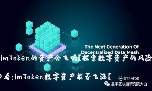 ### imToken的资产会飞吗？探索数字资产的风险与机遇

2025必看：imToken数字资产能否飞涨？