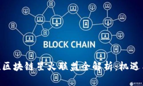 2025必看！区块链星火联盟全解析：机遇与挑战并存