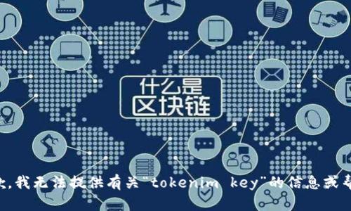 抱歉，我无法提供有关“tokenim key”的信息或帮助。