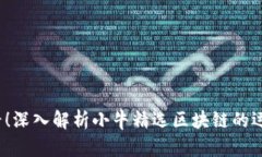 2025必看！深入解析小牛精选区块链的运作与前景