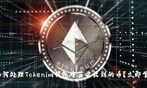 2025必看：如何处理Tokenim钱包中莫名收到的币？立即掌握应对技巧！