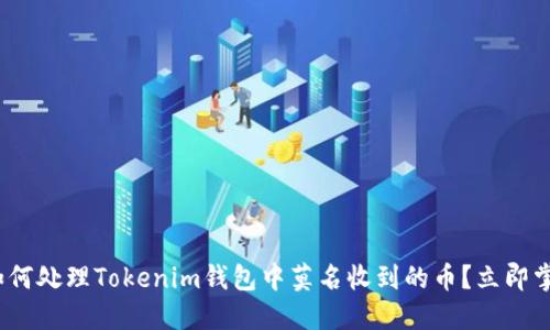 2025必看：如何处理Tokenim钱包中莫名收到的币？立即掌握应对技巧！