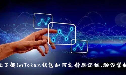 2025必看！现在就了解imToken钱包如何支持脑深链，助你掌握数字资产新机遇