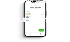 转出ImToken钱包中的FIL币（Filecoin）涉及几个步骤