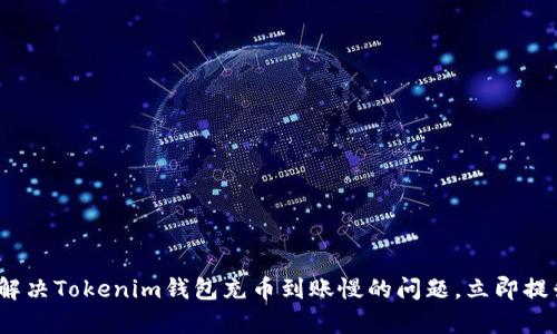 2025必看：如何解决Tokenim钱包充币到账慢的问题，立即提升你的交易效率！