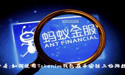 2025必看：如何使用Tokenim钱包在币安链上畅游数字资产