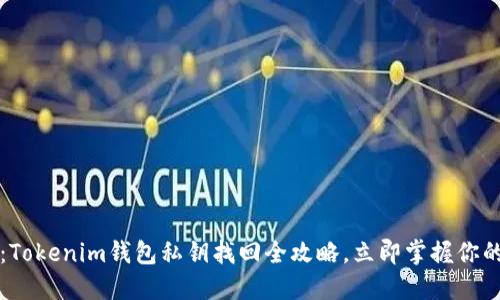 2025必看：Tokenim钱包私钥找回全攻略，立即掌握你的数字资产！