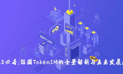 2025必看：饭团TokenIM的全景解析与未来发展趋势