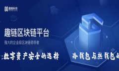 2025必看：数字资产安全的选择——冷钱包与热钱