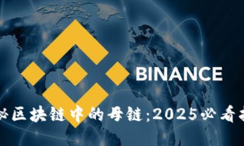 探秘区块链中的母链：2025必看指南