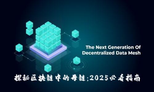 探秘区块链中的母链：2025必看指南