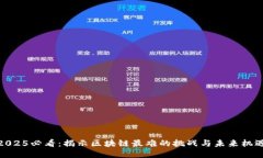2025必看：揭示区块链最难的挑战与未来机遇