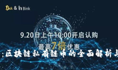 2025必看：区块链私有链币的全面解析与未来趋势