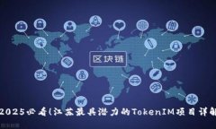 2025必看！江苏最具潜力的TokenIM项目详解