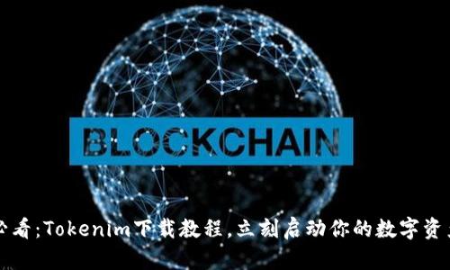 2025必看：Tokenim下载教程，立刻启动你的数字资产之旅！