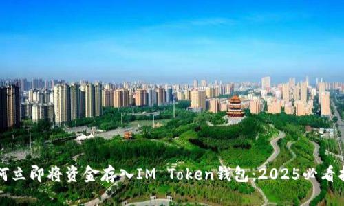 如何立即将资金存入IM Token钱包：2025必看指南