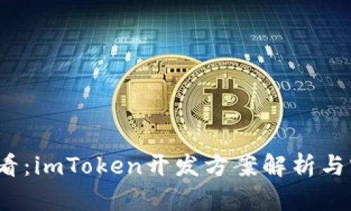 2025必看：imToken开发方案解析与实用指南