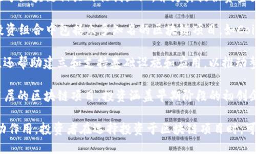 区块链著名投资公司有很多，这些公司在区块链和加密货币领域内以其投资策略、市场影响力和技术创新而出名。以下是一些备受关注的区块链投资公司：

1. **Pantera Capital**：成立于2013年，Pantera Capital是全球首批专注于加密货币和区块链技术的投资公司之一。它管理着数十亿美元的资产，投资范围包括风险投资、对冲基金和比特币等数字货币。

2. **Blockchain Capital**：作为一家早期的区块链投资公司，Blockchain Capital专注于区块链相关的初创企业，并为其提供资金支持。该公司还设有自己的加密货币，其目的是让投资者更好地接触区块链生态圈。

3. **Andreessen Horowitz**：这是一家风险投资公司，虽然并非专注于区块链，但其投资组合中包括众多知名的区块链项目，如Coinbase和Dapper Labs。该公司对区块链领域的持续关注使其在投资界具有重要影响。

4. **Digital Currency Group (DCG)**：DCG不仅投资于区块链和加密货币相关企业，还帮助建立和支持基础设施和应用，以推动整个行业的发展。该公司拥有和投资多个加密货币企业，并致力于区块链技术的广泛应用。

5. **CoinFund**：作为一家新兴的区块链投资公司，CoinFund专注于基础设施层和应用层的区块链项目，投资涵盖早期阶段的初创企业及代币发行。

这些公司在行业内的影响力和投资决策都对区块链技术的发展和流行起到了重要的推动作用。投资者在选择投资于区块链项目时，可以参考这些公司的投资方向和策略。