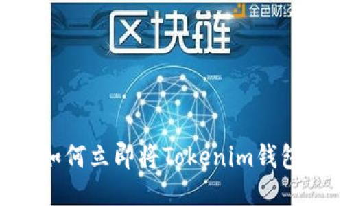 2025必看：如何立即将Tokenim钱包导入交易所